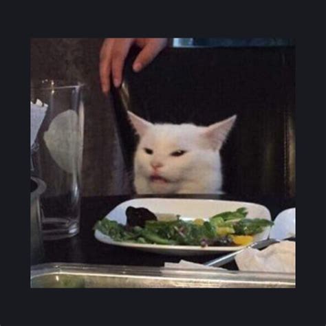 Cat Table Meme Template