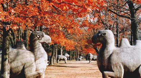 Ming Xiaoling Mausoleum Ticket Nanjing, China