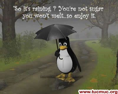 Funny Rainy Day Quotes And Images - ShortQuotes.cc