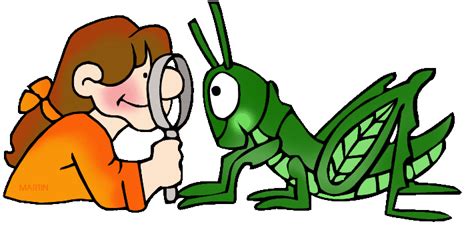 Observing a Grasshopper | Clipart Panda - Free Clipart Images