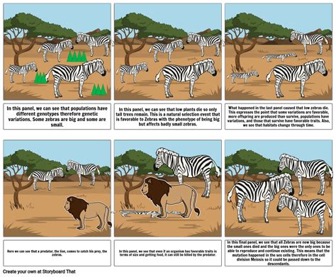 Comic based on Neo-Darwinism Evolution Theory