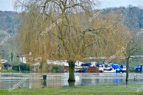 River Thames Bursts Banks Flooding Surrounding Editorial Stock Photo - Stock Image | Shutterstock