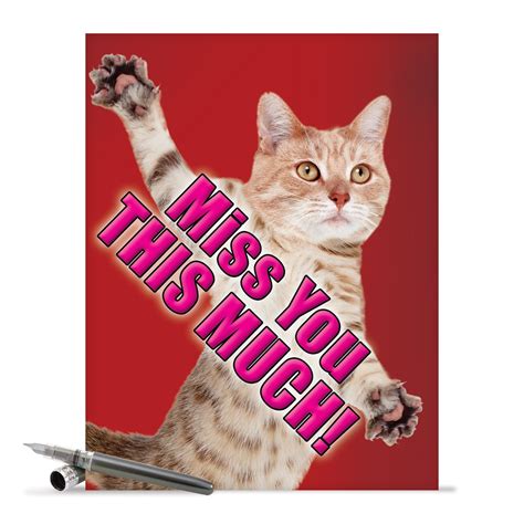 J2580MYG Jumbo Funny Miss You Greeting Card: 'Miss You This Much-Cat ...