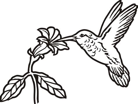 Hummingbird Stencil Printable