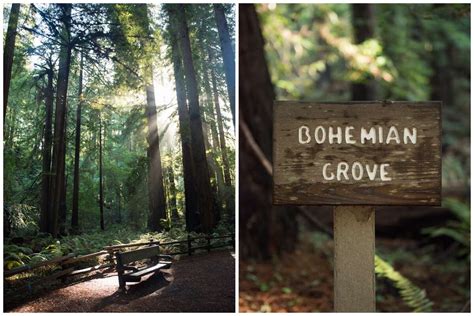 The best spots to visit in Muir Woods, according to a park ranger