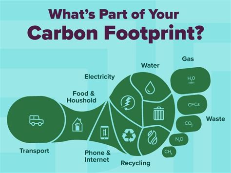 An illustrated image of a foot contains components of a person or organizations carbon footprint ...