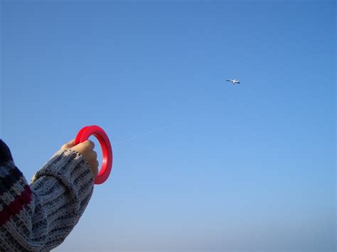 Free Images : hand, sky, play, wind, seagull, summer, flight, autumn, child, blue, extreme sport ...