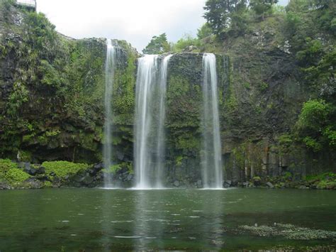 Whangarei Falls (Whangarei, Northland, New Zealand)