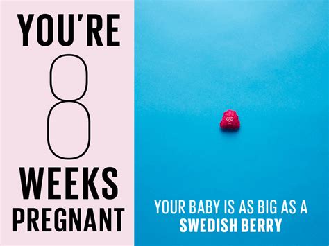 8 weeks pregnant | Symptoms, tips and more