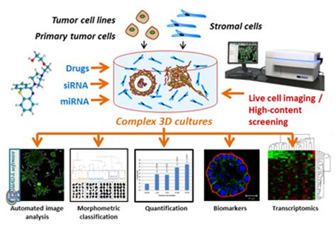 High-Content Screening Unit | TCDM – Turku Center for Disease Modeling