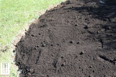 What Is Compost Soil | Chicago Land Gardening