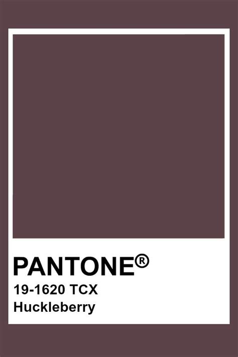 Pantone Huckleberry Pantone Palette, Pantone Swatches, Pantone Colour ...