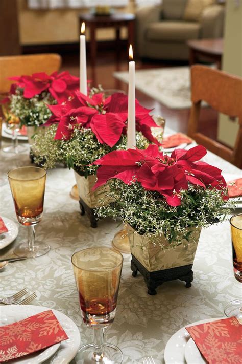 17 Lovely Ways to Display Poinsettias for the Holidays