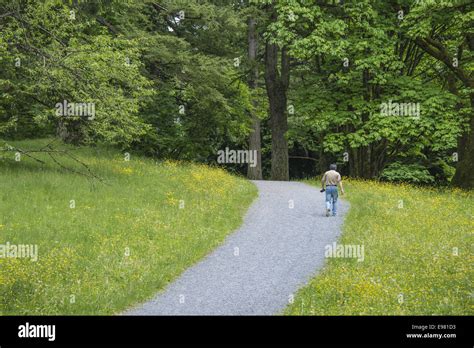 Burnaby mountain park, Burnaby, British Columbia Stock Photo - Alamy