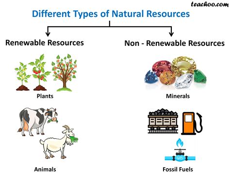 Three Categories Of Resources