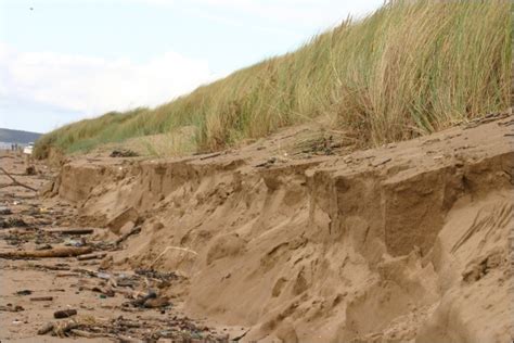 Damaged sand dunes in Burnham 'will quickly recover' say wildlife bosses