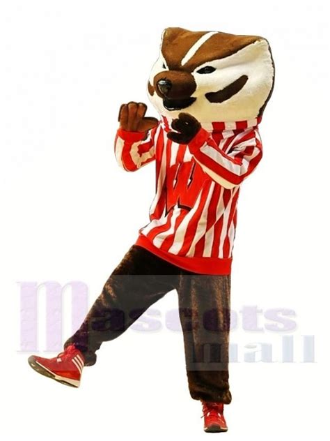 Wisconsin Badgers Mascot Costume