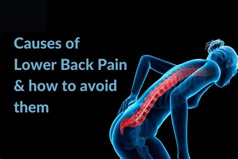 Causes of Lower Back Pain & how to avoid them - Yog