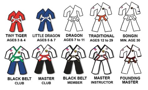 taekwondo belt colours and meanings - Yolando Atkinson