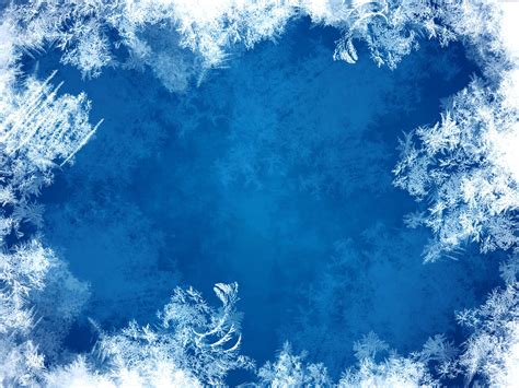 Download Frost Covered Nature Landscape | Wallpapers.com