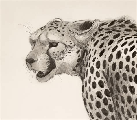 Cheetah Portrait 2021 - The Art of Aaron Blaise