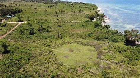 Lot for sale in Daanbantayan Cebu Near Beaches