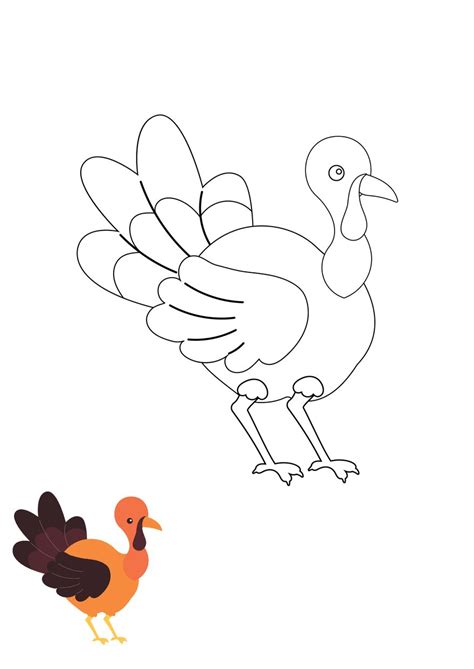 Blank Turkey Coloring Page in EPS, PDF, JPEG - Download | Template.net