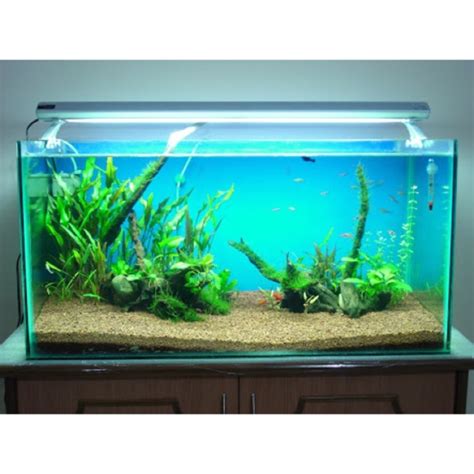 50 gal gallons aquarium fish tank with dual stand / accessories ...