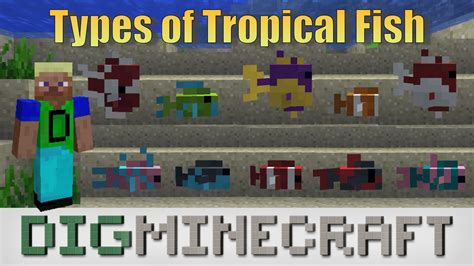 Take a look at the 22 different types of tropical fish in the new # ...