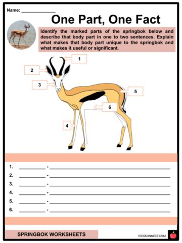 Springbok Facts & Worksheets | Behavior, Habitat, Diet, Range