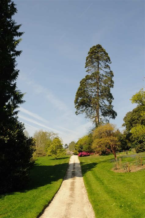 Tregothnan - Historic and Botanic Garden Training Programme