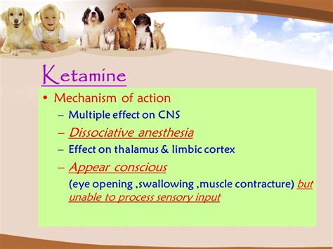 Nonvolatile anesthetic agents - ppt ดาวน์โหลด