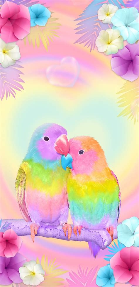 Cute Parrots Wallpapers - Top Free Cute Parrots Backgrounds ...