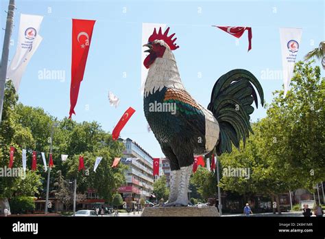 Denizli rooster hi-res stock photography and images - Alamy