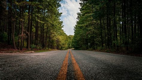 Forest Road Between Foliage Green Trees 4K HD Nature Wallpapers | HD Wallpapers | ID #50916