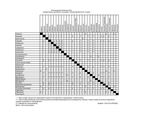 Antibiotics Cross-sensitivity — WellOne Medical Centre