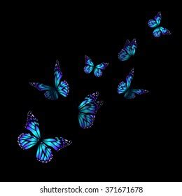 447,270 Butterfly Black Background Royalty-Free Images, Stock Photos ...
