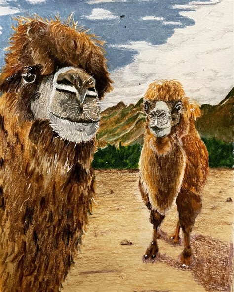 Bactrian Camels by wilderstillart on DeviantArt