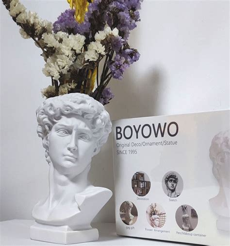 BOYOWO David Statue Greek Bust Face Vase Succulent Pot Flower Planter Head Roman Sculpture mid ...
