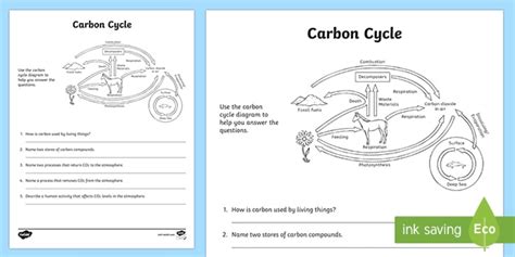 Carbon Cycle Worksheet Activity | Earth and Space Science