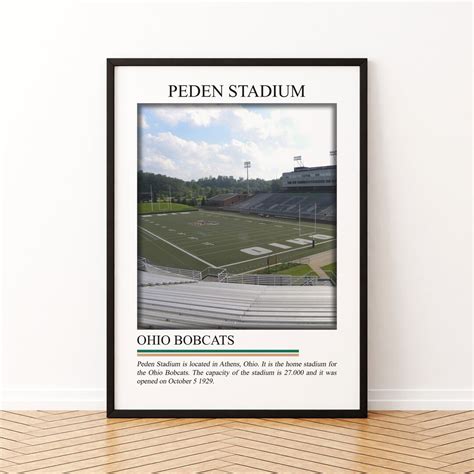 Peden Stadium Wall Art Peden Stadium Canvas Digital Print - Etsy