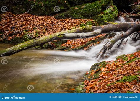 Mountain Stream With Waterfalls Stock Photo - Image: 46344884