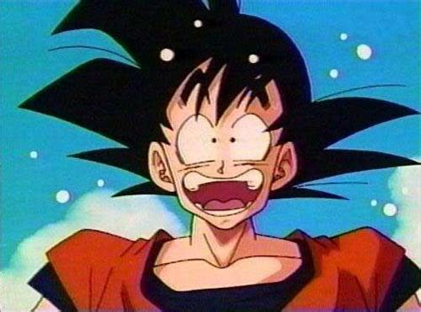 Funny Dragon Ball Pics - Dragon Ball Fans Anime