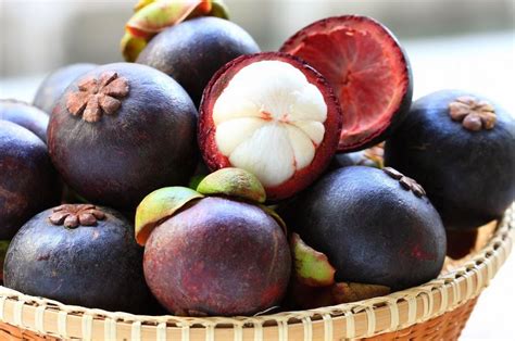 Health Benefits of Kokum or Mangosteen | 10 Amazing & Surprising Facts | Reckon Talk