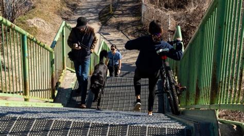 Toronto could see up to 3,000 COVID-19 deaths, city facing $65M cost ...