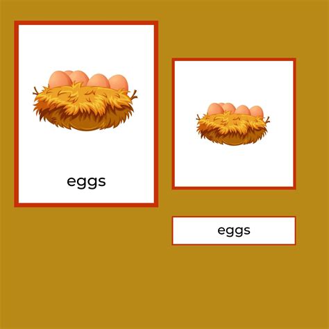 Chicken Life Cycle, Visual Perception, Word Pictures, School Items, Life Cycles, Early Learning ...