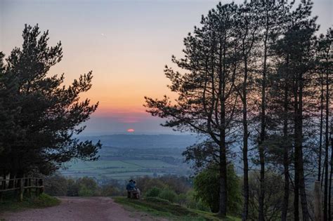 Exploring Bluebells In The West Midlands | Clent Hills - Adell Explores