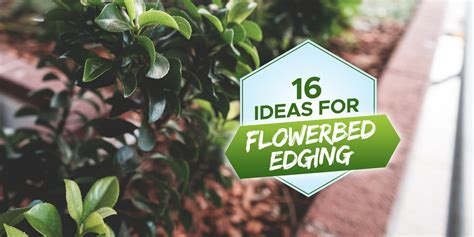 16 Flowerbed Edging Ideas [Simple & Inspiring Ideas!] - Grow Your Yard