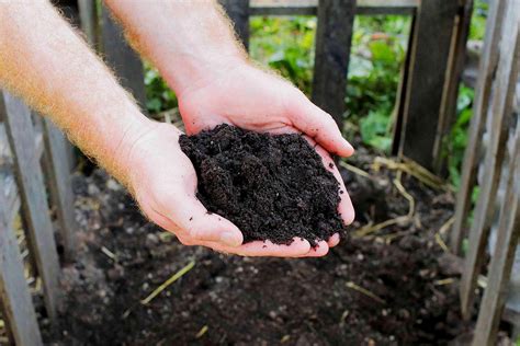 10 Creative DIY Compost Bins for Your Garden - Greyhound Recycling