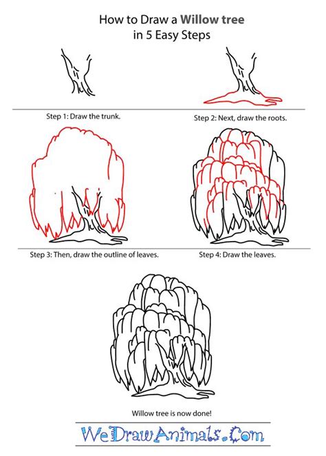 How to Draw a Willow Tree - Step-by-Step Tutorial | Tree sketches, Tree ...